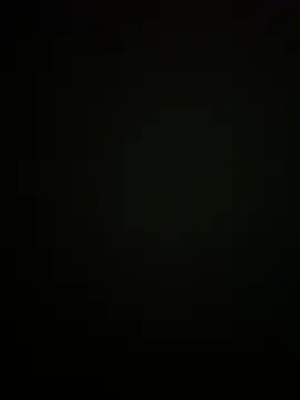 flamingolatino webcam