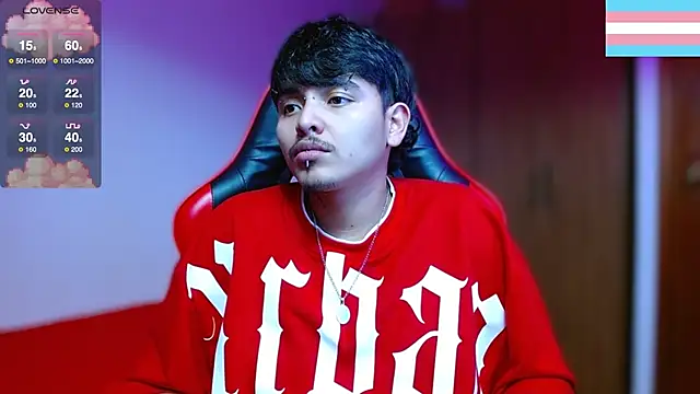 Hgp3riodictabl3 webcam