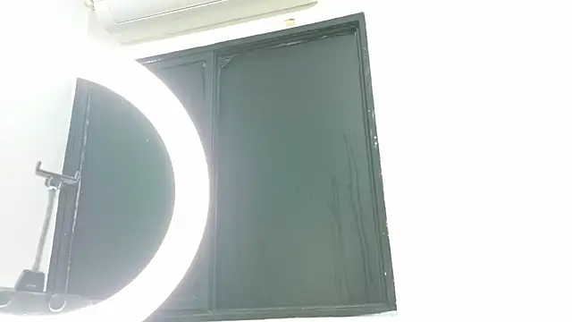 LoganRyder_OS webcam