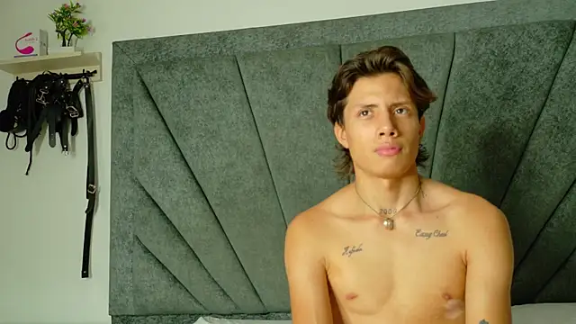 LoganRyder_OS webcam