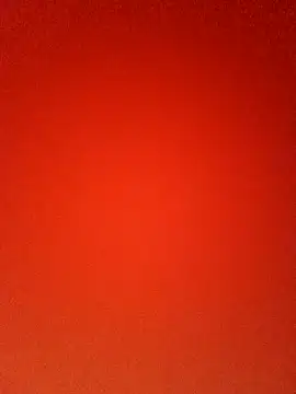 Toyopilo2389_ webcam