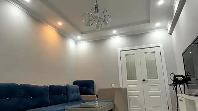 SupremeDividend webcam