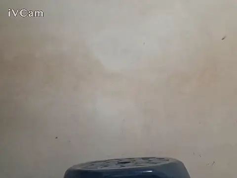 royblackbigpvt webcam