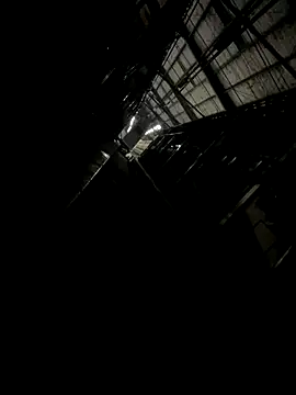 anhyeuem1950 (Ask my age) - 50