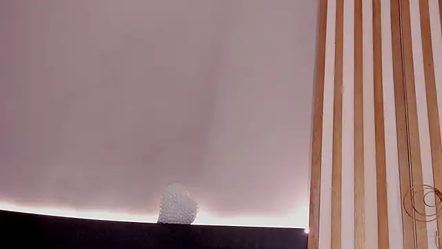 sara__jones_gh webcam