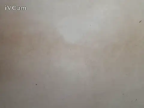 royblackbigpvt webcam