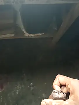 Desi_Cum_King_8_inch webcam