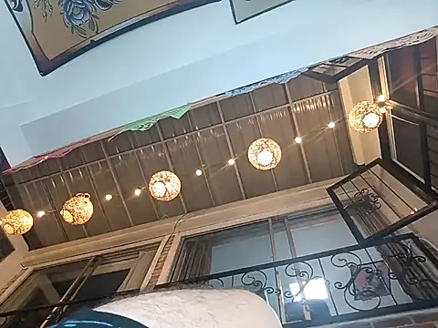 Kingbigcock23cm webcam