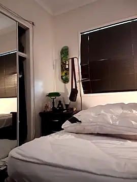 LukedavidDestroys webcam