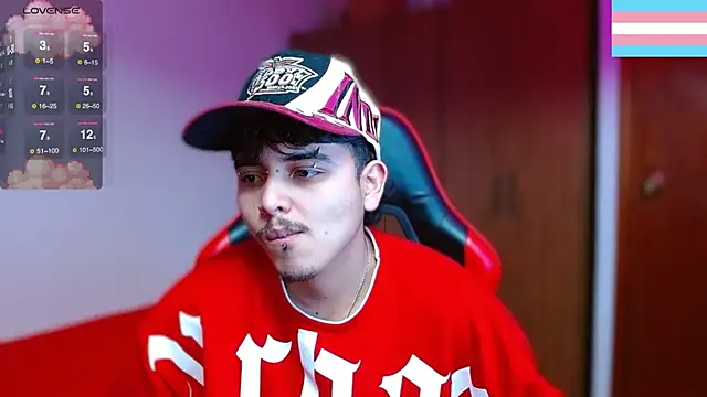 Hgp3riodictabl3 webcam