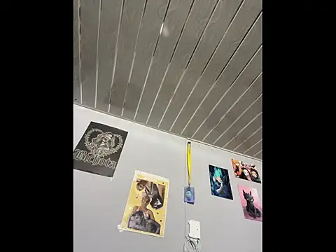 Mike_and_Rayan webcam