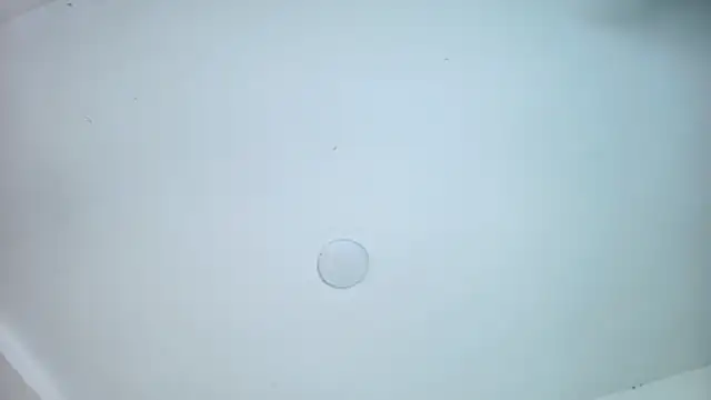 sophiax-x (F young) - #ahegao #anal #anal-toys #ass-to-mouth #big-tits #bisexuals #blowjob #cam2cam #camel-toe #cock-rating #colombian #cosplay #cowgirl #creampie #deepthroat #dildo-or-vibrator #dirty-talk #doggy-style #erotic-dance #facesitting #facial #fingering #fisting #foot-fetish #gagging #gape #handjob #hd #humiliation #jerk-off-instruction #masturbation #middle-priced-privates #nipple-toys #office #oil-show #recordable-privates #role-play #sex-toys #sexting #smoking #spanish-speaking #spanking #squirt #striptease #student #titty-fuck #topless #twerk #upskirt #ahegao #anal #anal-creampie #anal-doggy-style #anal-fingering #anal-fisting #anal-latin #anal-masturbation #anal-petite #anal-toys #anal-young #ass-to-mouth #big-tits #big-tits-anal #big-tits-blowjob #big-tits-brunettes #big-tits-creampie #big-tits-deepthroat #big-tits-doggy-style #big-tits-handjob #big-tits-latin #big-tits-petite #big-tits-titty-fuck #big-tits-young #bisexuals #blowjob #blowjob-ahegao #brunettes #brunettes-blowjob #brunettes-petite #brunettes-young #cam2cam #camel-toe #cock-rating #colombian #colombian-petite #colombian-young #cosplay #cosplay-young #cowgirl #creampie #deepthroat #deepthroat-blowjob #dildo-or-vibrator #dildo-or-vibrator-anal #dildo-or-vibrator-big-tits #dildo-or-vibrator-deepthroat #dildo-or-vibrator-young #dirty-talk #doggy-style #doggy-style-creampie #erotic-dance #facesitting #facial #fingering #fingering-latin #fingering-young #fisting #fisting-latin #fisting-young #flashing #foot-fetish #gagging #gape #handjob #hd #humiliation #jerk-off-instruction #latin #latin-blowjob #latin-creampie #latin-deepthroat #latin-doggy-style #latin-foot-fetish #latin-masturbation #latin-young #masturbation #middle-priced-privates #middle-priced-privates-latin #middle-priced-privates-young #moderately-priced-cam2cam #nipple-toys #office #oil-show #petite #petite-latin #petite-young #recordable-privates #recordable-privates-young #role-play #role-play-young #sex-toys #sexting #small-audience #smoking #spanish-speaking #spanking #squirt #squirt-latin #squirt-young #striptease #striptease-latin #striptease-young #student #titty-fuck #topless #topless-latin #topless-young #twerk #twerk-latin #twerk-young #upskirt #young