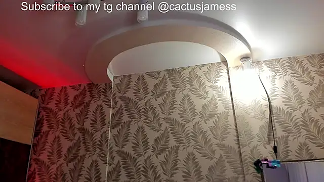 Cactus__James webcam