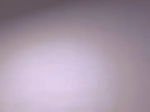 venus_and_masterboy webcam