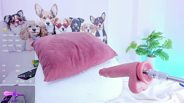 ashley_nicoll webcam