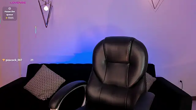 ChristineFord_ webcam