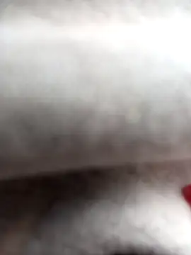 charlotte_dante212 webcam