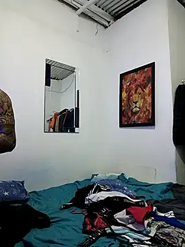 Kingbigcock23cm webcam