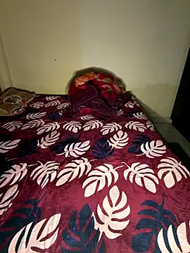 Payal_agarwal webcam