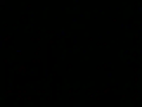 Preview of markluvskitty