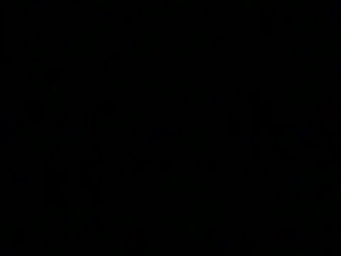 markluvskitty webcam