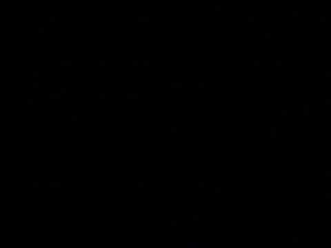 markluvskitty webcam