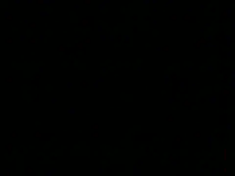 markluvskitty webcam