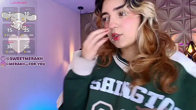 meraki_fraise webcam