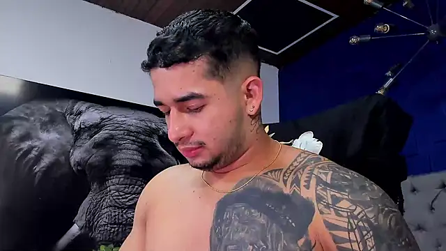 king_falconer webcam