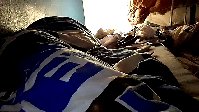 GeilerHSVFAN1989 webcam