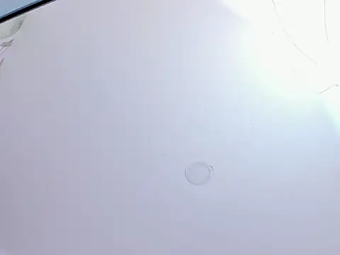 Saritasweet18 webcam