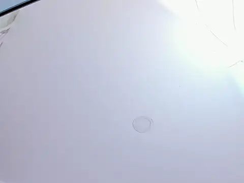 Saritasweet18 webcam