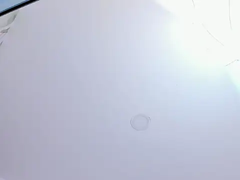 Saritasweet18 webcam