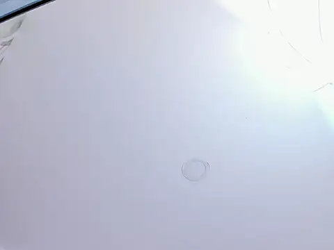 Saritasweet18 webcam