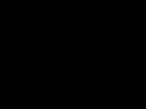 markluvskitty webcam