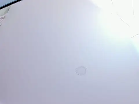 Saritasweet18 webcam