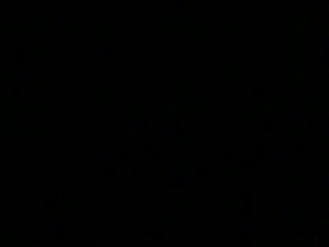 markluvskitty webcam