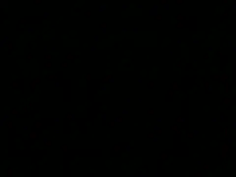 markluvskitty webcam