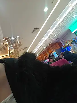 BrightWhisper webcam