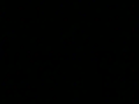 markluvskitty webcam