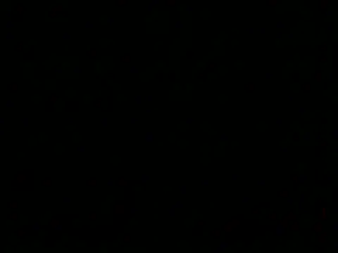 markluvskitty webcam