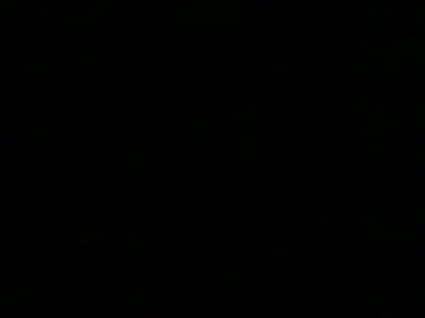 markluvskitty webcam