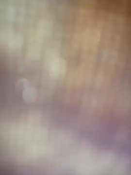 ansh777777777 webcam