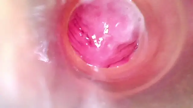 shannon_kinne_ webcam