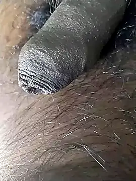 Preview of jellydicks