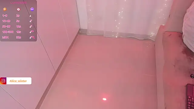 Alice_winter_ webcam