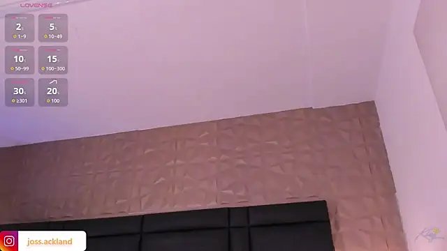 JossAckland webcam