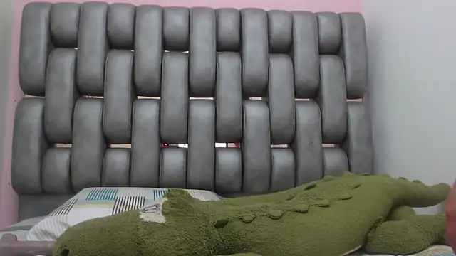 Madison_Copers webcam