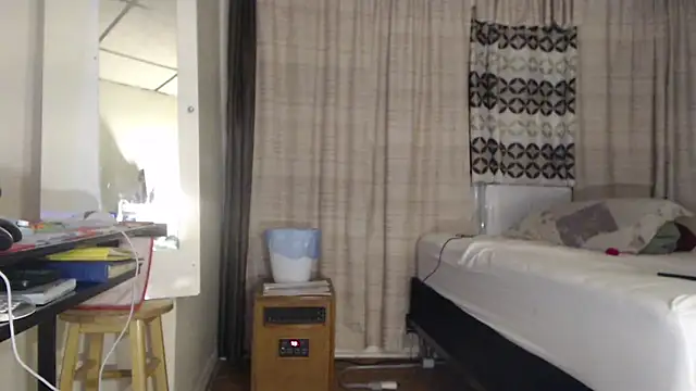 ANALTRAINING2 webcam