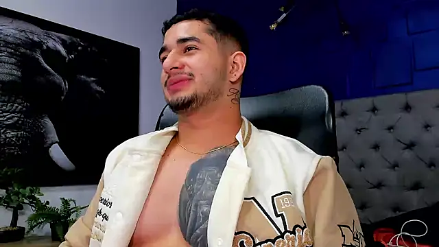 king_falconer webcam